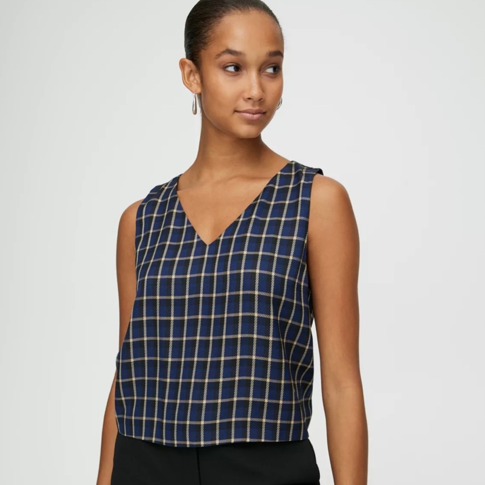 Aritzia Babaton Murphy Blouse